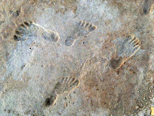Fossil human footprints at White Sands